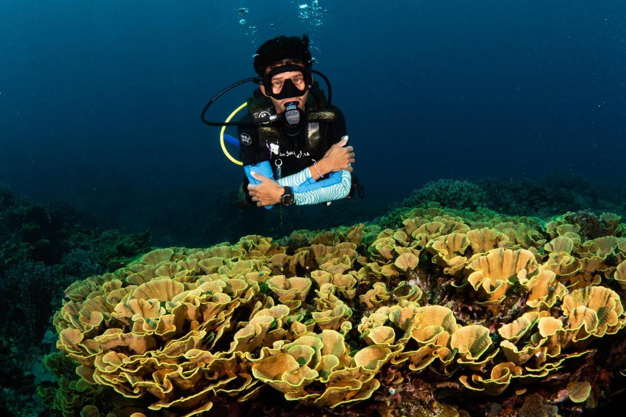 Sanctum Una Una Eco Dive Resort Pulau Unauna Dış mekan fotoğraf