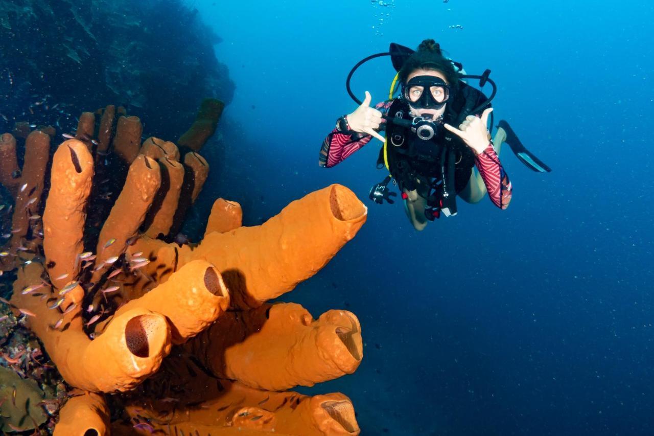 Sanctum Una Una Eco Dive Resort Pulau Unauna Dış mekan fotoğraf