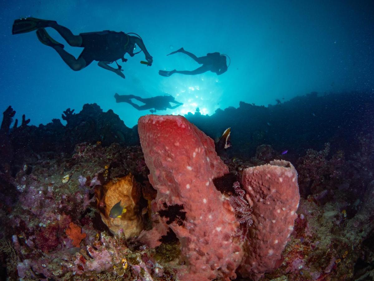 Sanctum Una Una Eco Dive Resort Pulau Unauna Dış mekan fotoğraf