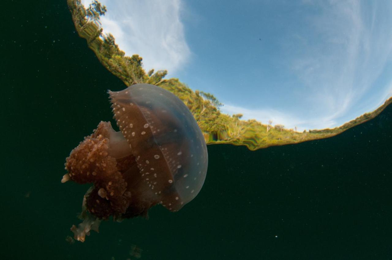 Sanctum Una Una Eco Dive Resort Pulau Unauna Dış mekan fotoğraf