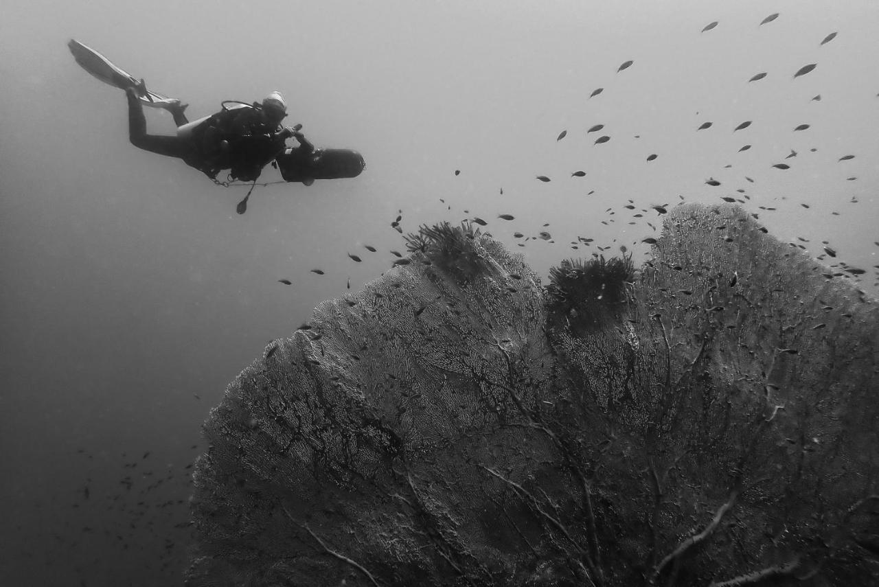 Sanctum Una Una Eco Dive Resort Pulau Unauna Dış mekan fotoğraf
