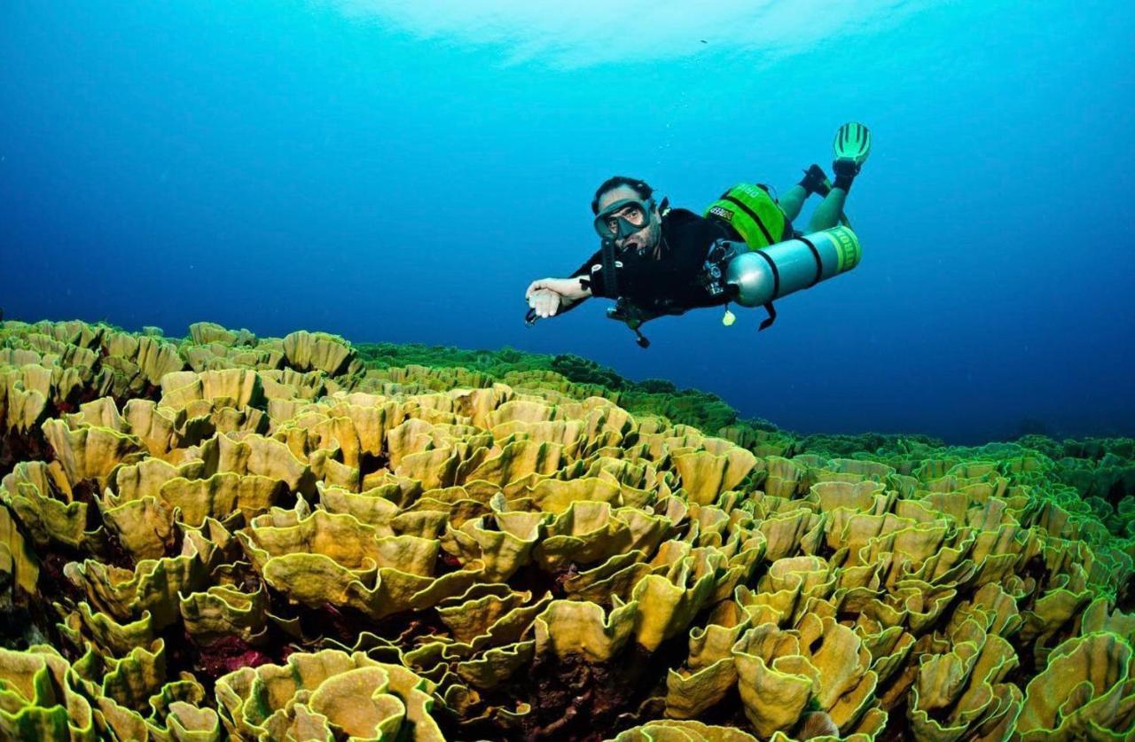Sanctum Una Una Eco Dive Resort Pulau Unauna Dış mekan fotoğraf