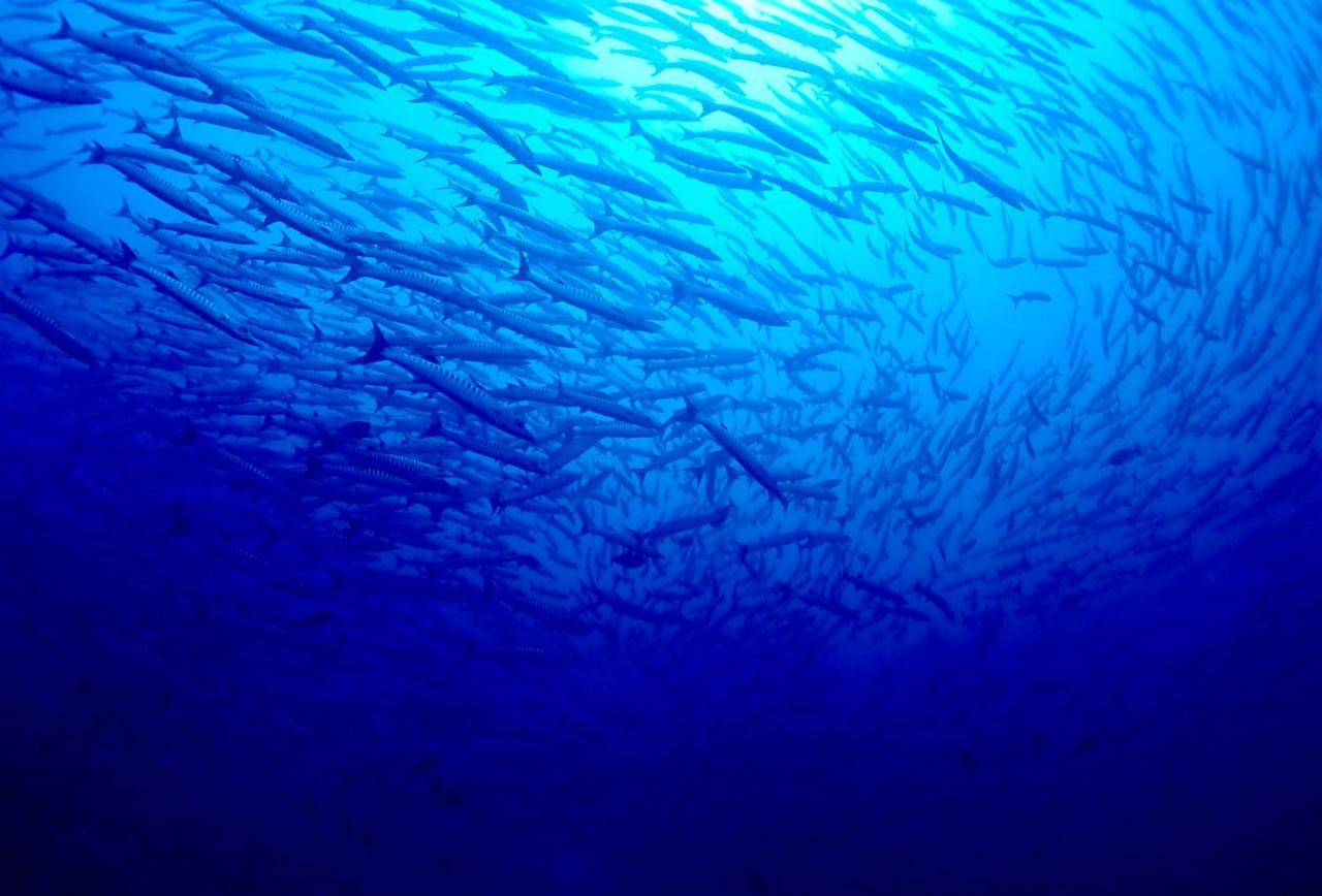 Sanctum Una Una Eco Dive Resort Pulau Unauna Dış mekan fotoğraf