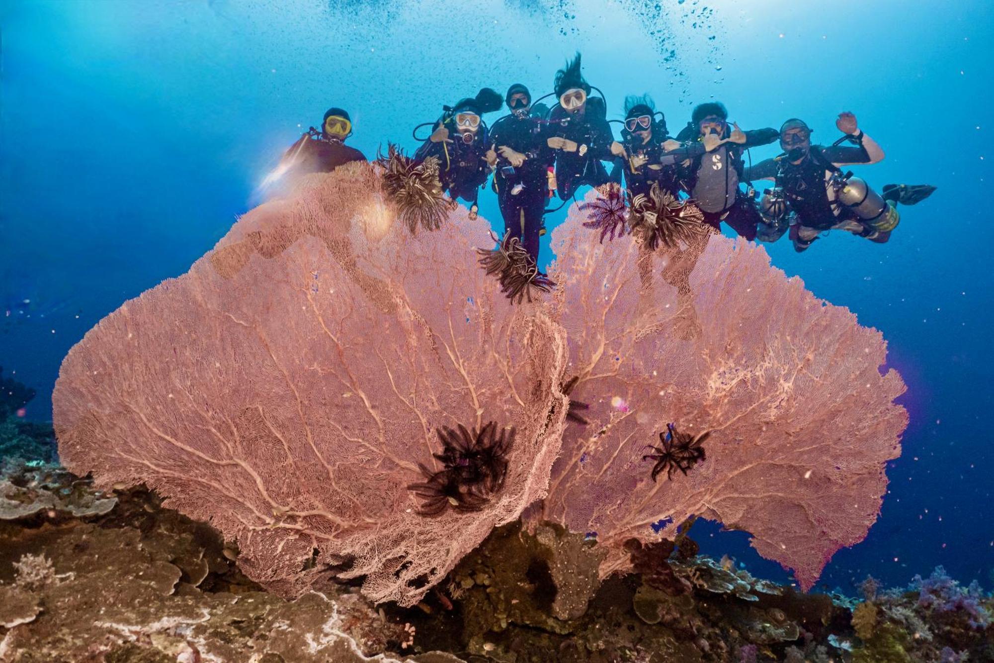 Sanctum Una Una Eco Dive Resort Pulau Unauna Dış mekan fotoğraf