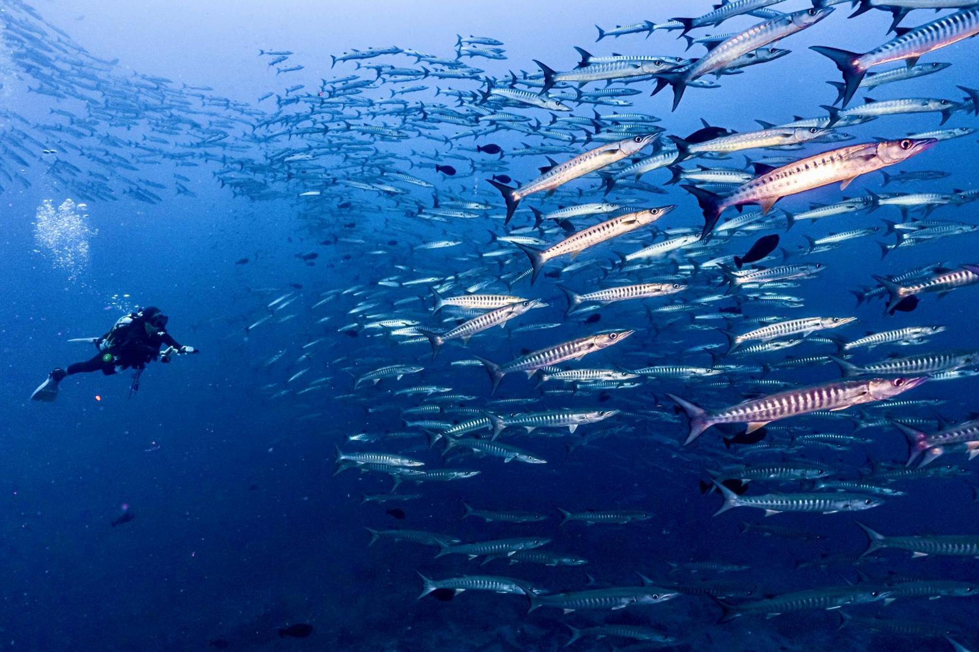 Sanctum Una Una Eco Dive Resort Pulau Unauna Dış mekan fotoğraf